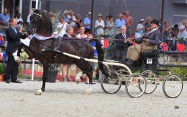 Just Lucky wint competitie in Rijs
