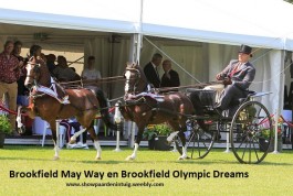 Brookfield May Way en Brookfield Olympic Dreams tandemkampioen